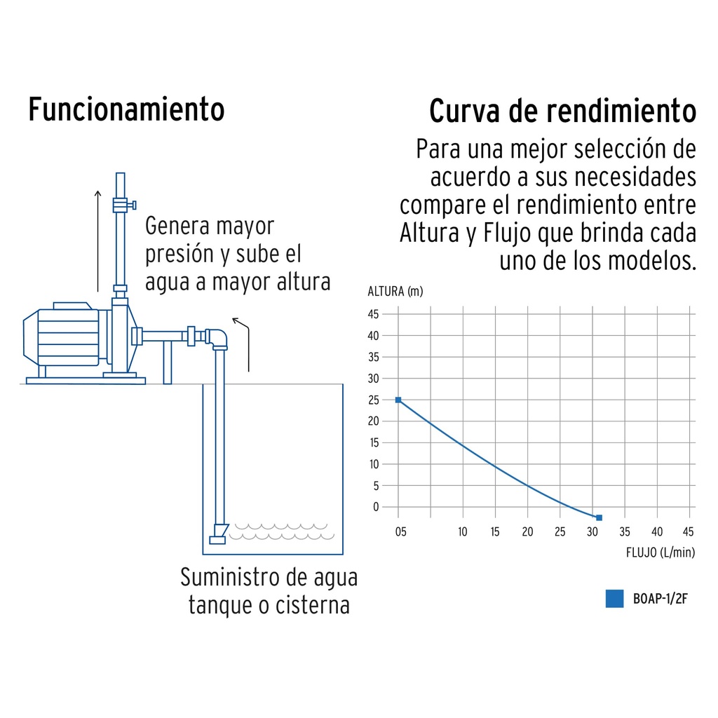 BOAP-1-2F+FC2.jpg